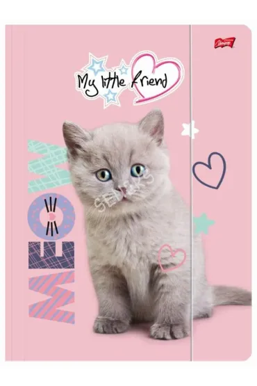 Teczka z gumk� A4 My little friend Bambino