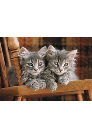 Puzzle 500 el. Kittens Clementoni