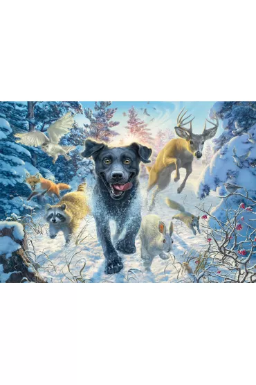 Puzzle 1000 el. PQ Mark Fredrickson Labrador na �niegu Schmidt - Mark Fredrickson