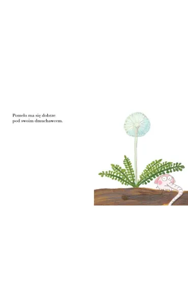 Pomelo ma si� dobrze pod swoim dmuchawcem - Benjamin Chaud, Ramona B�descu