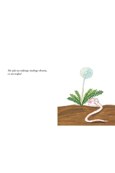 Pomelo ma si� dobrze pod swoim dmuchawcem - Benjamin Chaud, Ramona B�descu