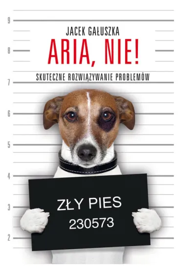Aria, nie! Skuteczne rozwi�zywanie problem�w - Jacek Ga�uszka
