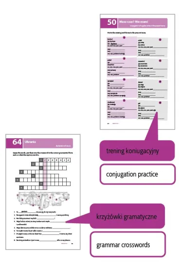 Testuj Sw�j Polski Gramatyka 1 - Renata Szpigiel