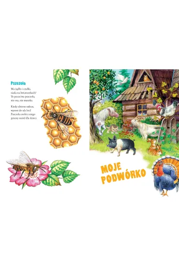 Wies�aw Drabik dla dzieci - Wies�aw Drabik