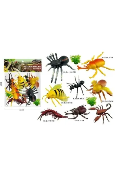 Insekty