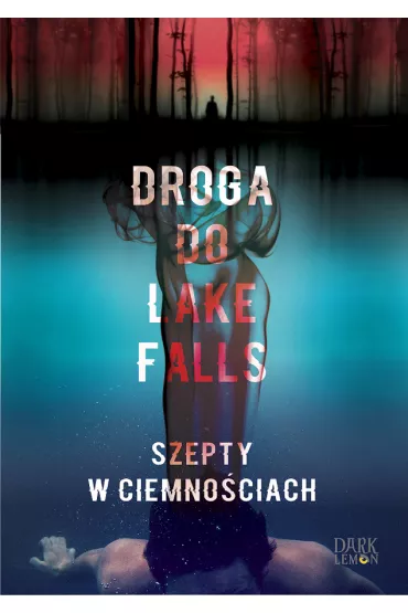 Droga do Lake Falls. Szepty w ciemno�ciach - Artur K. Dormann