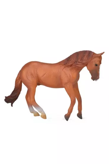 Collecta Ogier Klaczy Australian Stock Horse Rozmiar XL