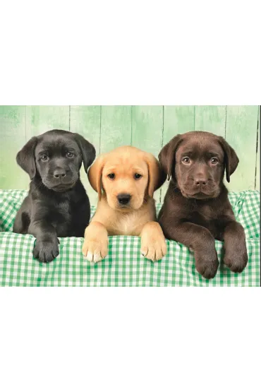 Puzzle 1000 el. Three Labs Clementoni