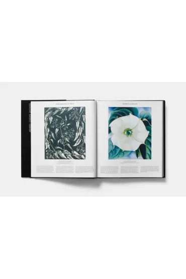 Plant. Exploring the Botanical World wer. angielska