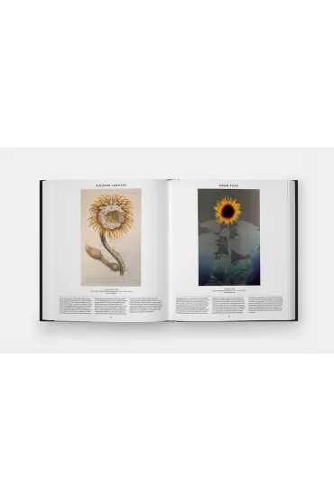 Plant. Exploring the Botanical World wer. angielska