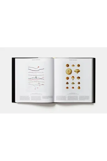 Plant. Exploring the Botanical World wer. angielska