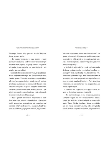 Ogromne okno. Seria niefortunnych zdarze�. Tom 3 - Lemony Snicket