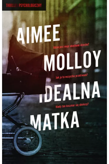 Idealna matka - Aimee Molloy