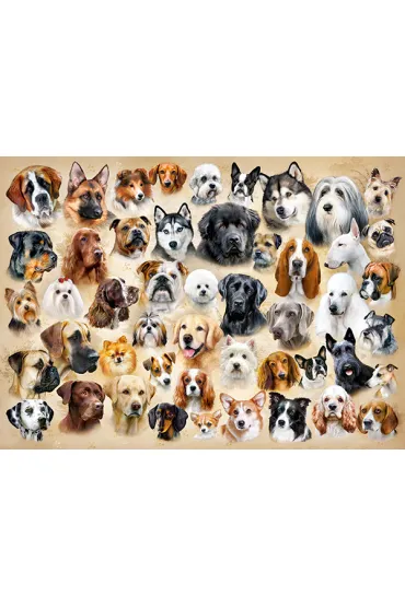 Puzzle 200 el. Collage with Dogs Castorland