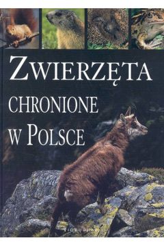 Zwierz�ta chronione w Polsce - Bili�ska Agnieszka, Bili�ski W�odek (twarda oprawa) - Agnieszka Bili�ska, W�odek Bili�ski