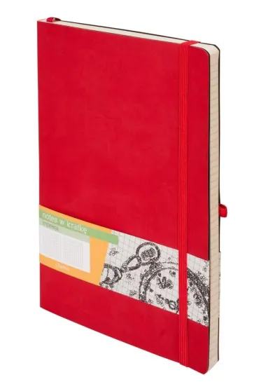 Antra Notes B5 Impresja kratka 192 kartki