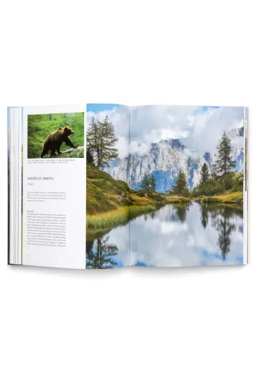 Geoparks. The UNESCO Global Geoparks