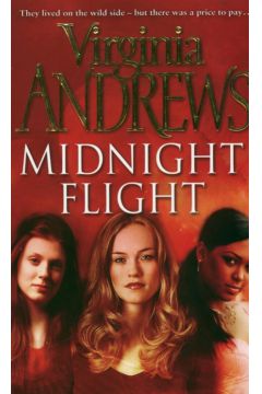 Midnight Flight - Andrews Virginia