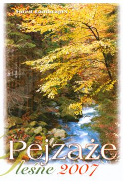 Kalendarz 2007 RW04 Pejza�e le�ne