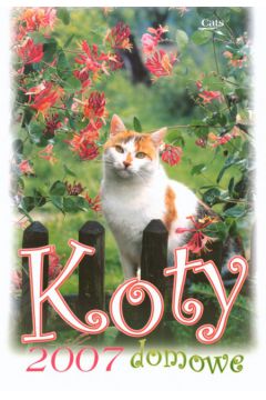Kalendarz 2007 RW13 Koty domowe