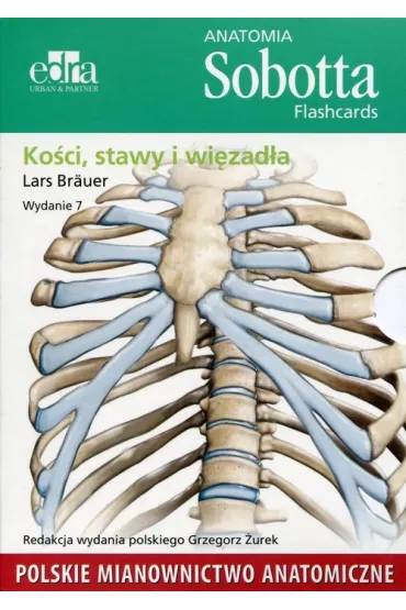 Anatomia Sobotta Flashcards Ko�ci stawy i wi�zad�a - Lars Br�uer