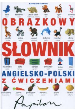 Obrazkowy s�ownik angielsko-polski z �wiczeniami - Pilarczyk Ma�gorzata - Ma�gorzata Pilarczyk