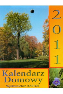 Kalendarz 2007 KT10 Kastor