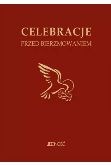 Celebracje przed bierzmowaniem - Krzysztof Mielnicki