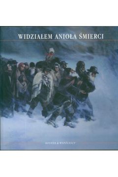 Widzia�em Anio�a �mierci - Feliks Tych, Maciej Siekierski