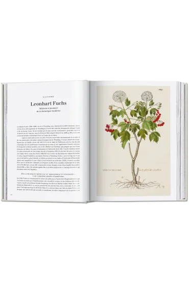 Leonhart Fuchs. The New Herbal - Werner  Dressend�rfer