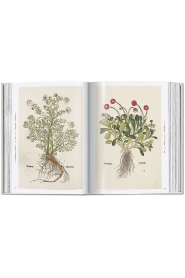 Leonhart Fuchs. The New Herbal - Werner  Dressend�rfer