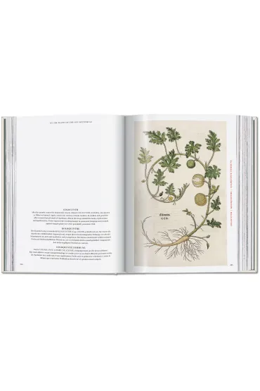 Leonhart Fuchs. The New Herbal - Werner  Dressend�rfer