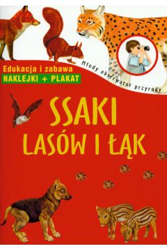 Ssaki las�w i ��k m�ody obserwator przyrody