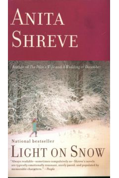 Light on snow - Shreve Anita - Anita Shreve