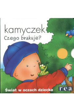 Kamyczek Czego brakuje? - Savary Fabien - Savary Fabien