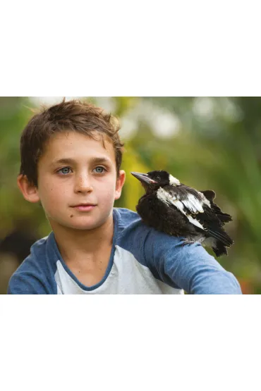 Penguin Bloom. Ptak, kt�ry ocali� rodzin� - Bradley Trevor Greive, Cameron  Bloom