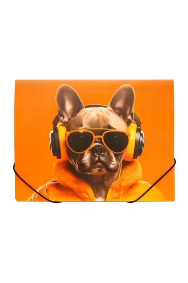 Panta Plast Teczka A4 PP na gumk� z nadrukiem Cool Dog