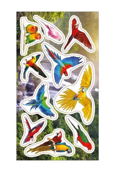 Ranok-Creative Naklejki Papugi