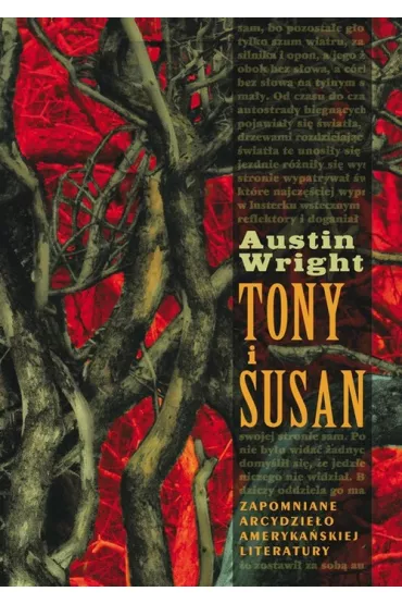 Tony i Susan - Austin Wright