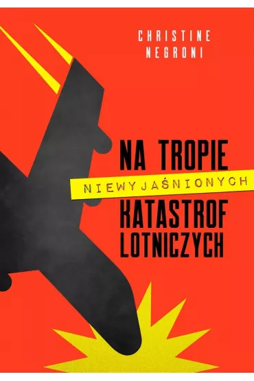 Na tropie niewyjanionych katastrof lotniczych - Christine  Negroni