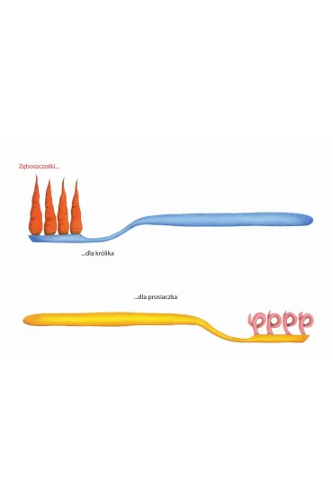 Z�boszczotki - Gervais Pittau