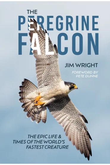 The Peregrine Falcon - Jim Wright