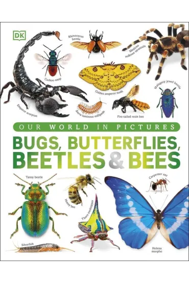 Our World in Pictures Bugs, Butterflies, Beetles and Bees