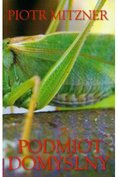 Podmiot domy�lny - Mitzner Piotr - Piotr Mitzner