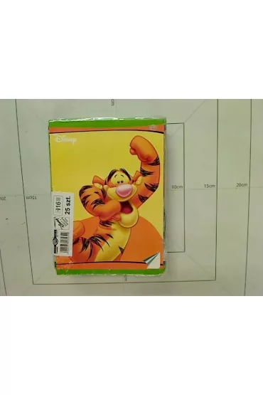 Interdruk Zeszyty A5 Kubu� Puchatek linia 16 kartek