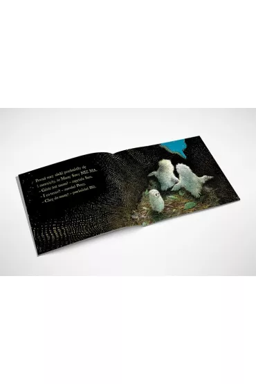 Ma�e s�wki - Martin  Waddell