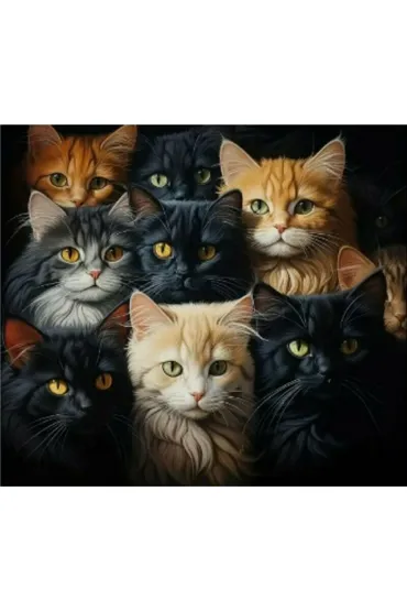 Norimpex Diamentowa mozaika - Koty koci portret rodzinny 2000183 30x40cm