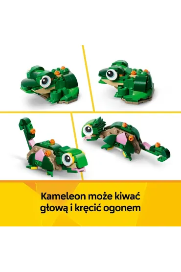 LEGO Creator ��w i kwiat lilii wodnej 31377