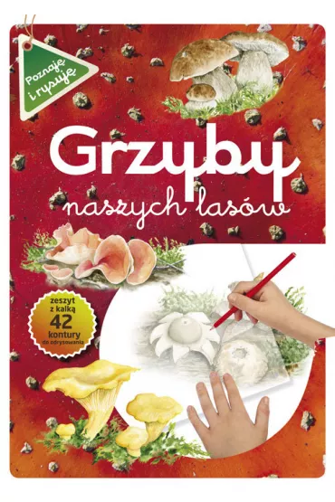 Grzyby naszych las�w. Poznaj� i rysuj� - Gra�yna Maternicka, Katarzyna Kopiec-Sekieta