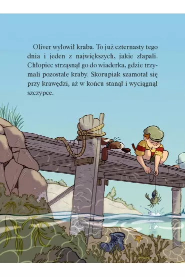 Operacja Wyspa. Biuro Detektywistyczne nr 2. Tom 5 - Jorn Lier Horst, Hans Jorgen Sandnes